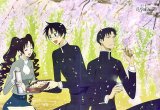 BUY NEW xxxholic - 177560 Premium Anime Print Poster